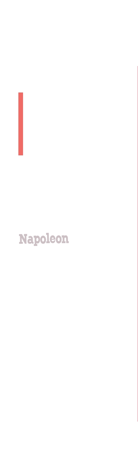 logo Napoleon