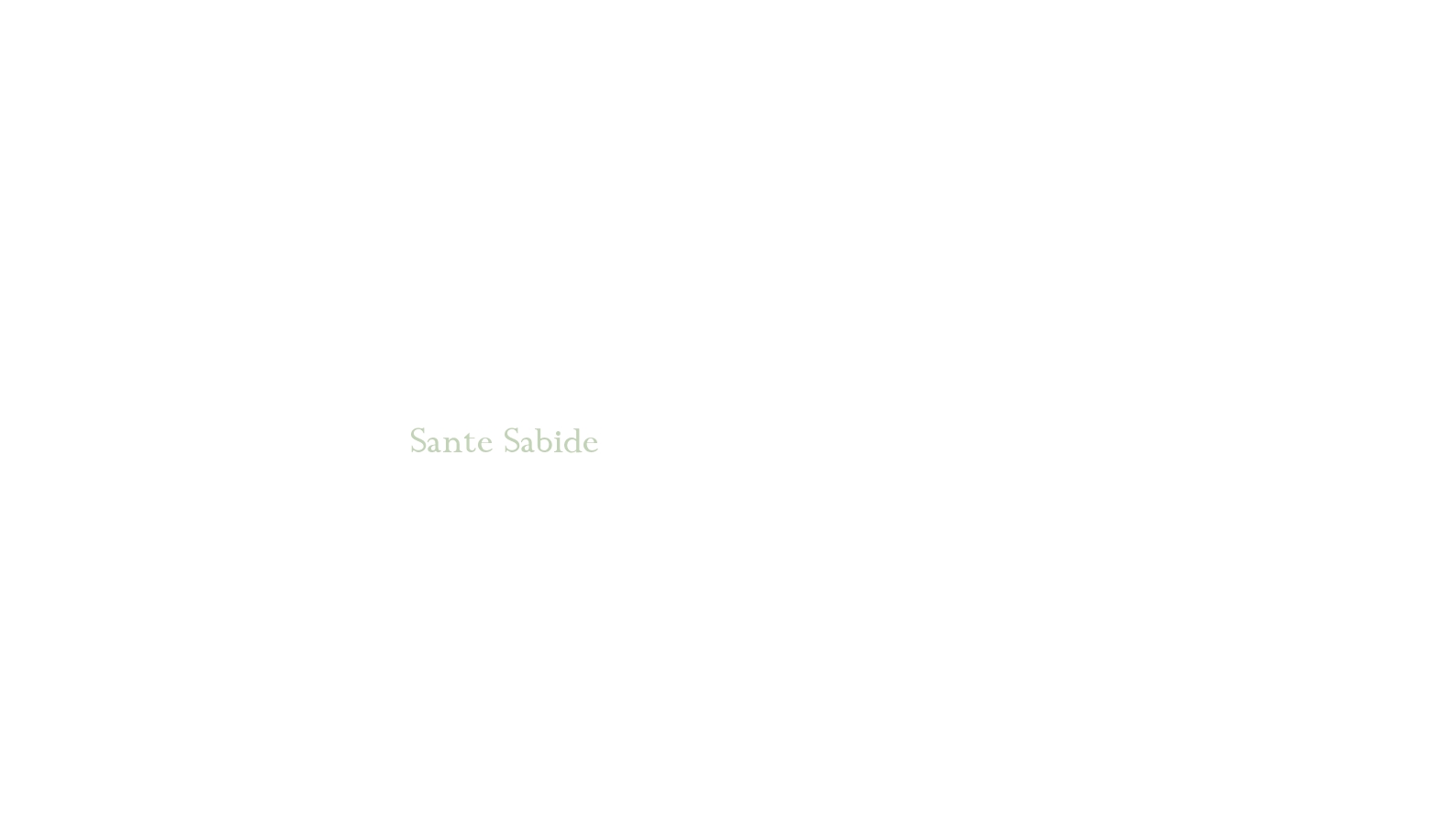 logo Sante Sabide