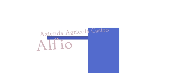 logo Azienda Agricola Castro Alfio