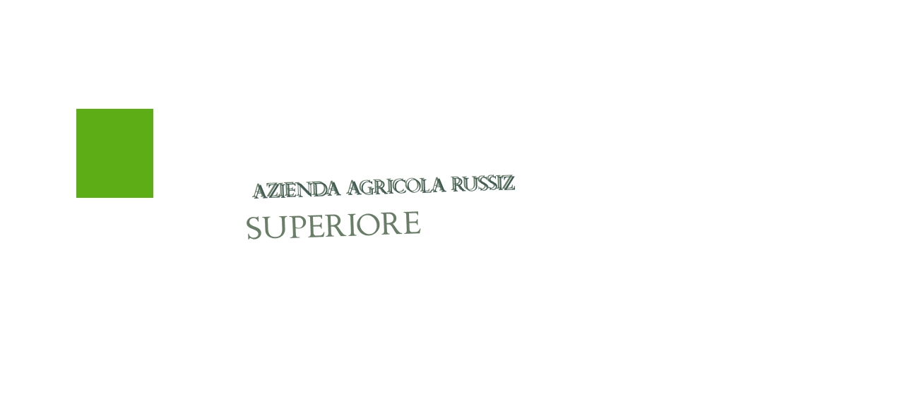logo Azienda Agricola Russiz Superiore