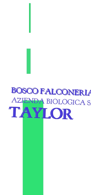 logo Bosco Falconeria - Azienda Biologica Simeti Taylor