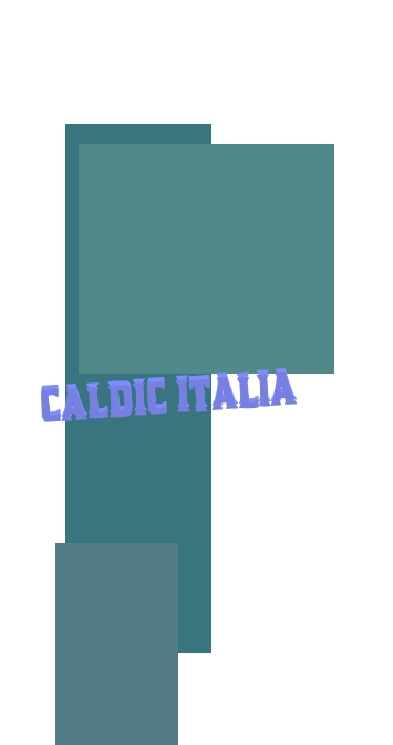 logo Caldic Italia