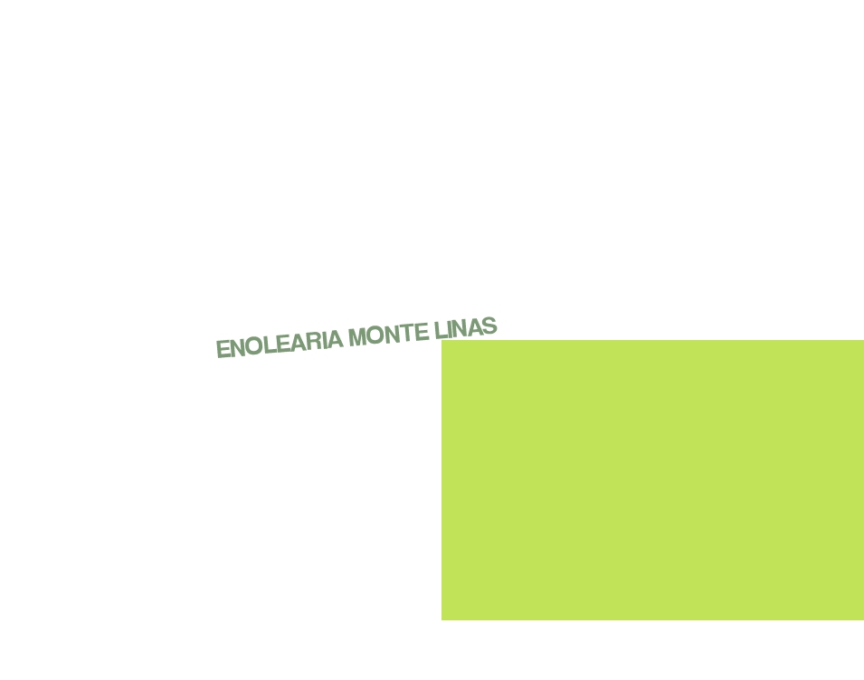 logo Enolearia Monte Linas