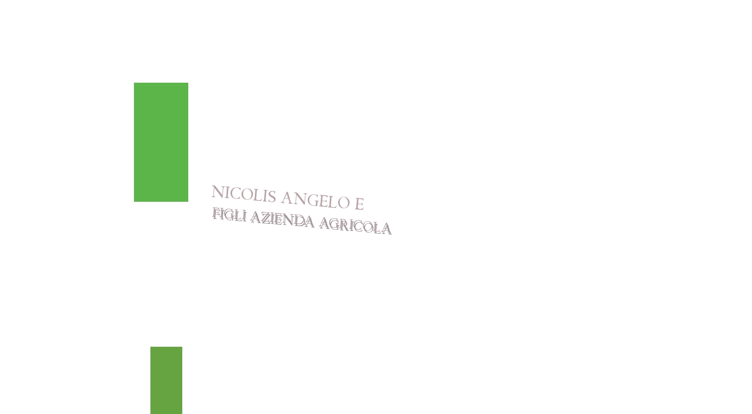logo Nicolis Angelo e Figli Azienda Agricola