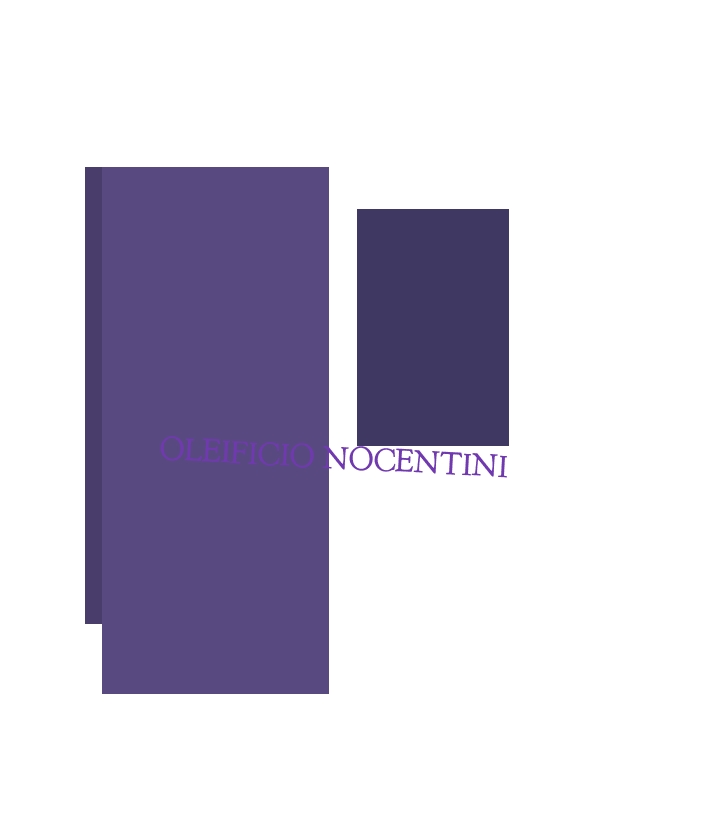 logo Oleificio Nocentini
