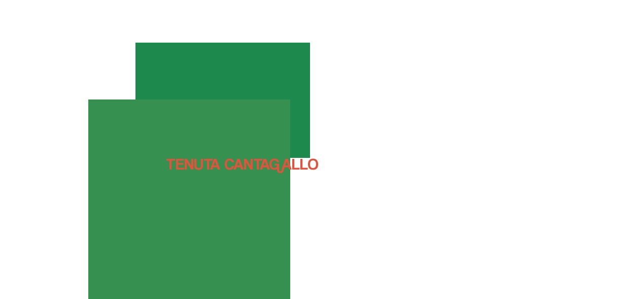 logo Tenuta Cantagallo