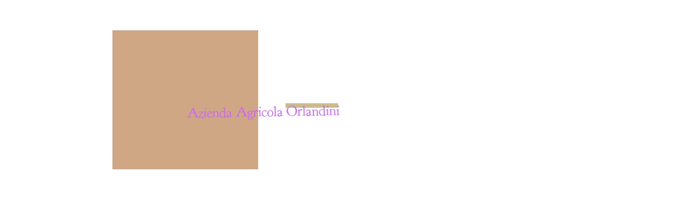 logo Azienda Agricola Orlandini