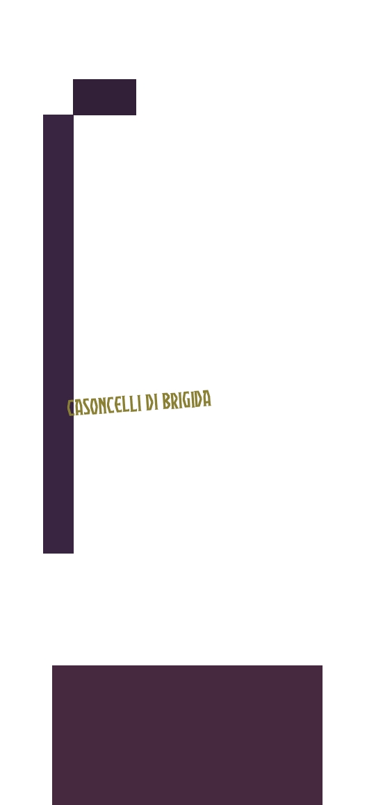 logo Casoncelli di Brigida