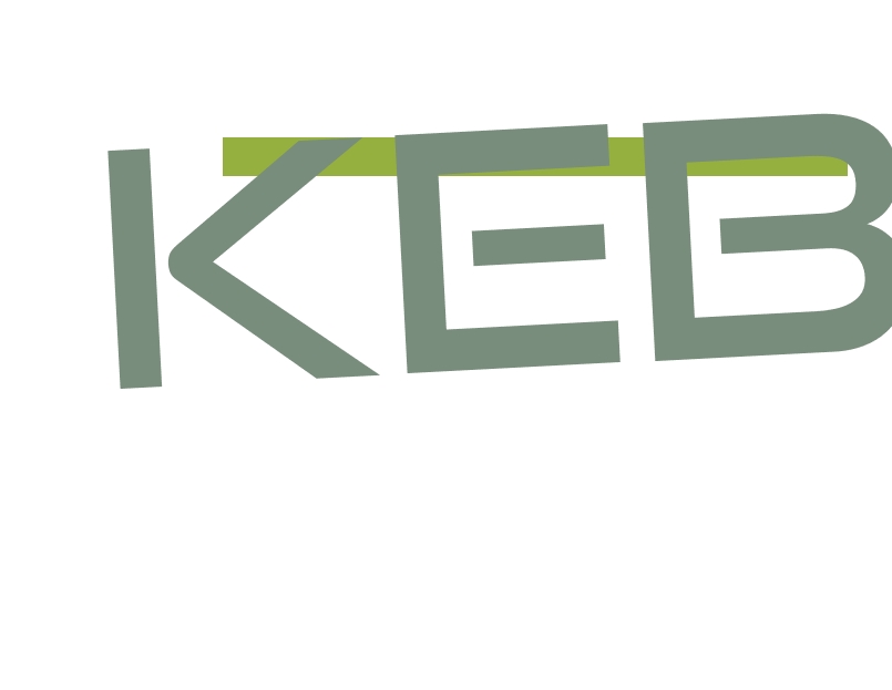 logo Kebio Srl