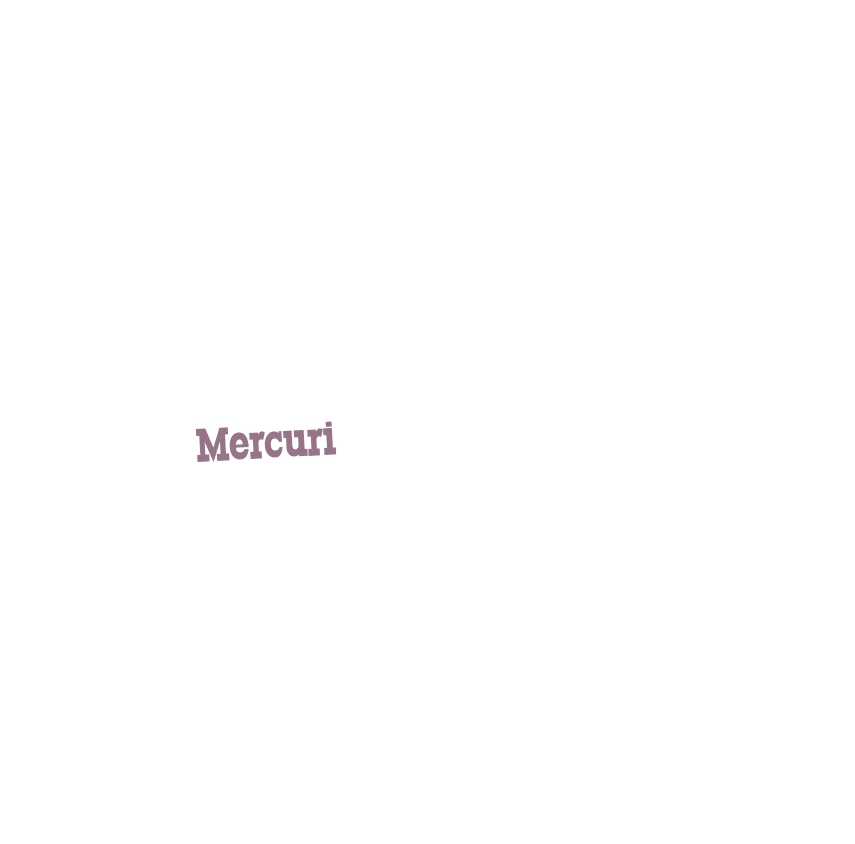 logo Mercuri