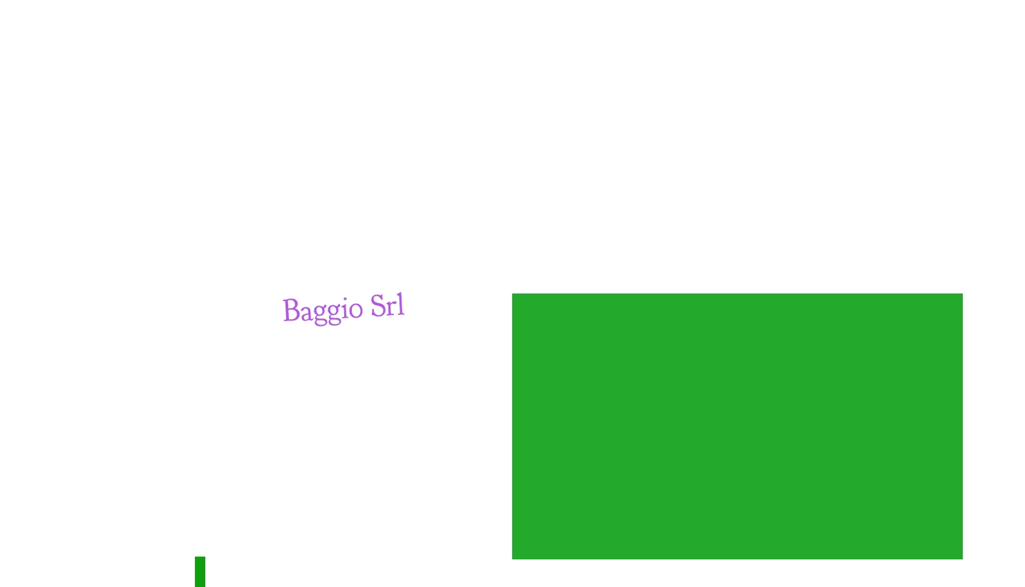logo Baggio Srl