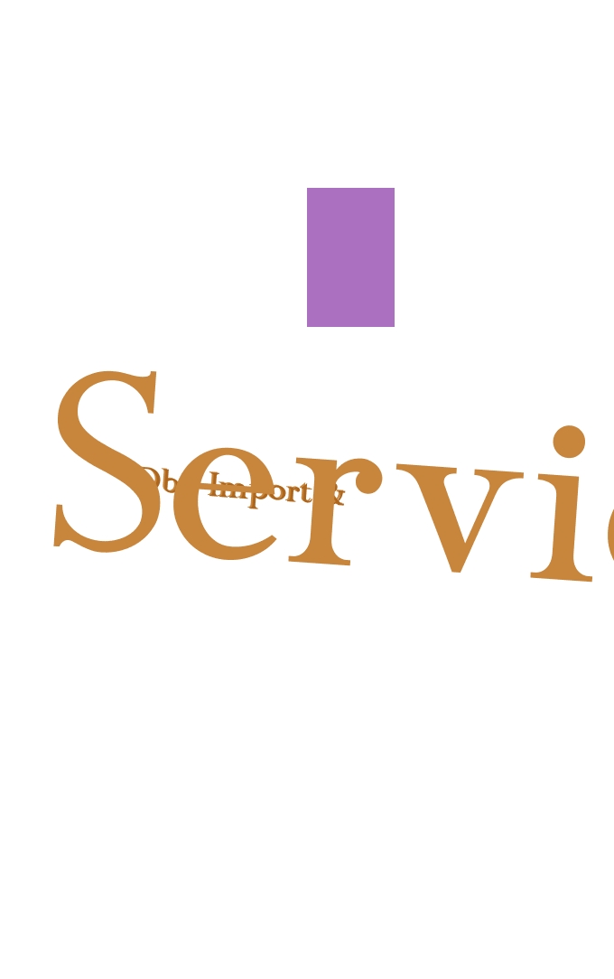 logo Dbp Import & Services Srl