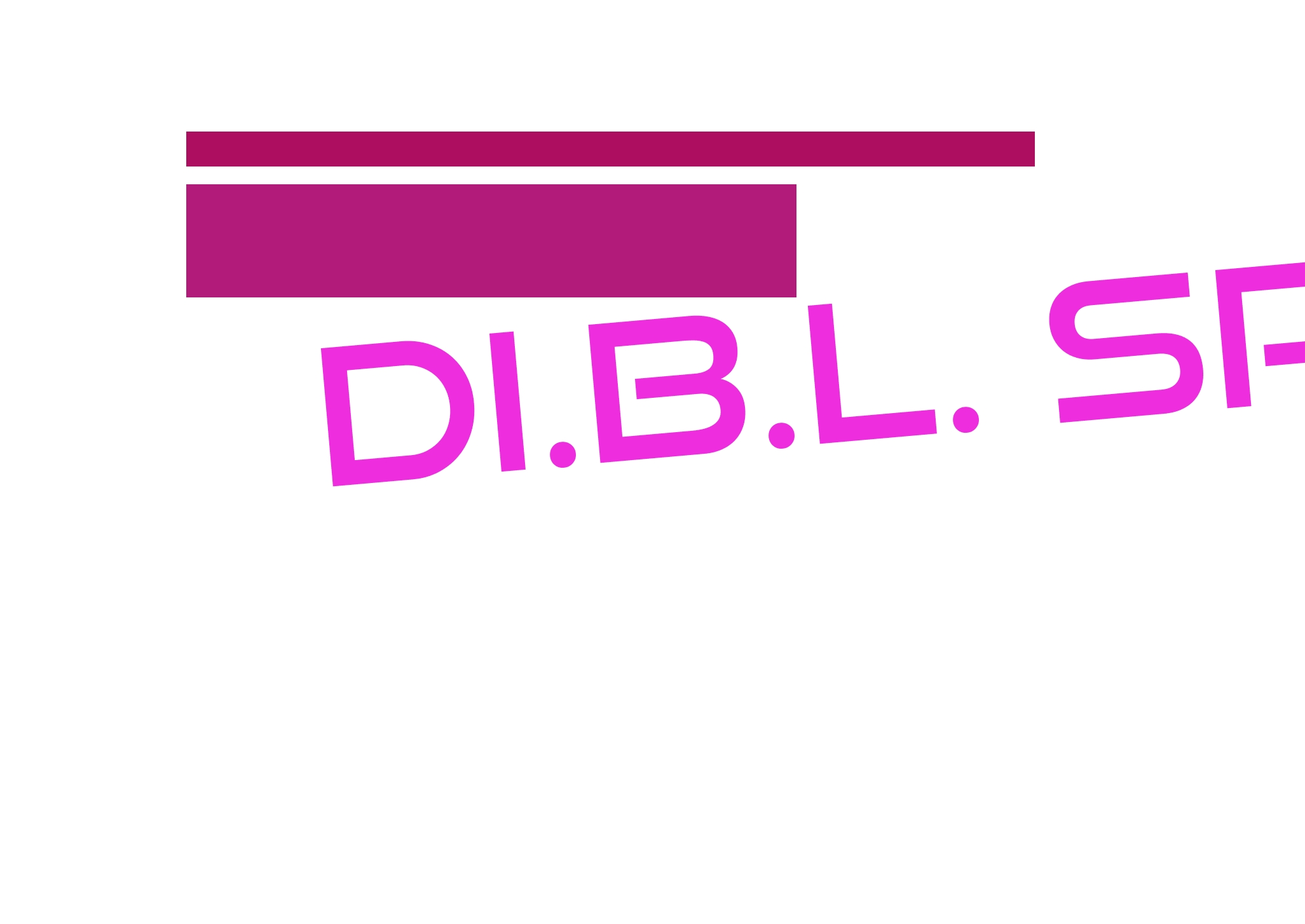logo Di.B.L. Srl
