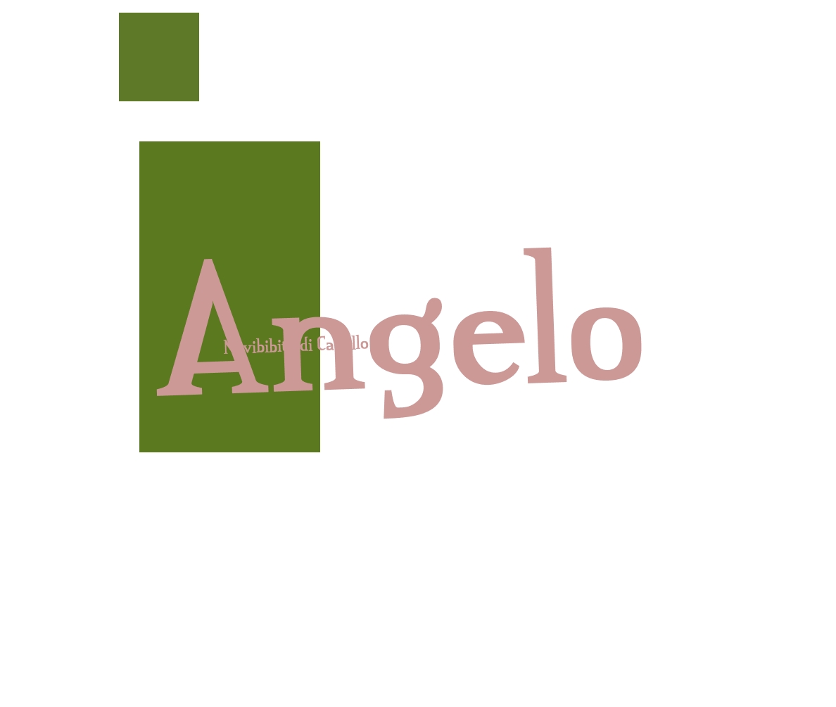 logo Novibibite di Capello Angelo