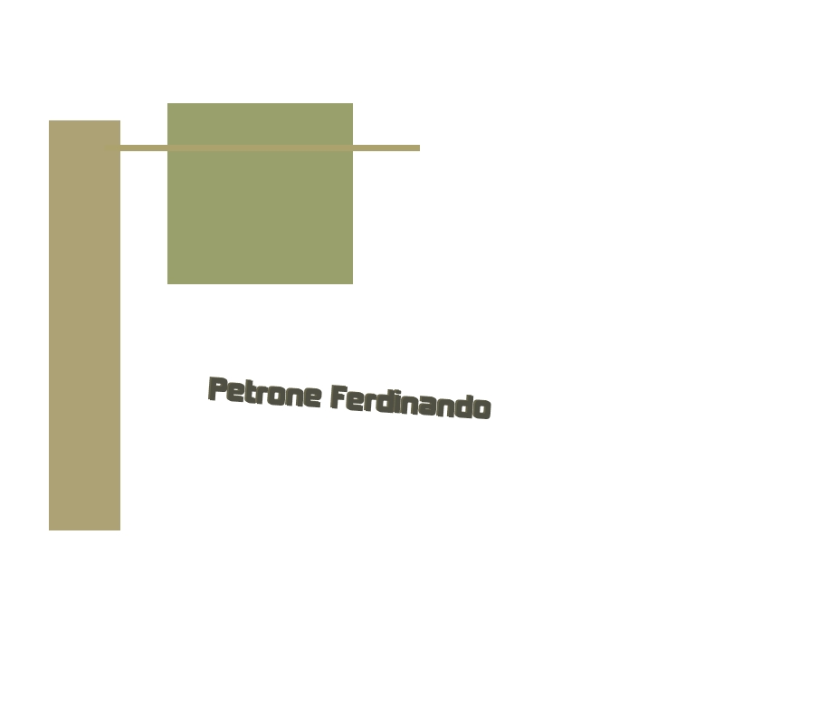 logo Petrone Ferdinando