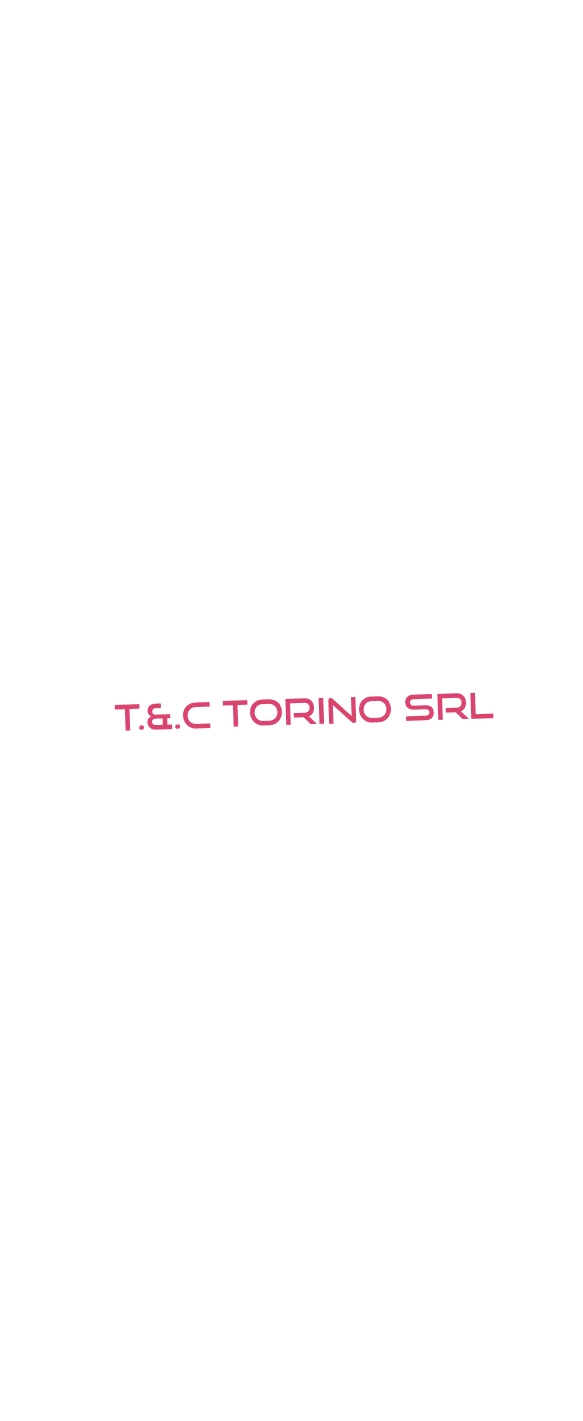 logo T.&.C Torino Srl
