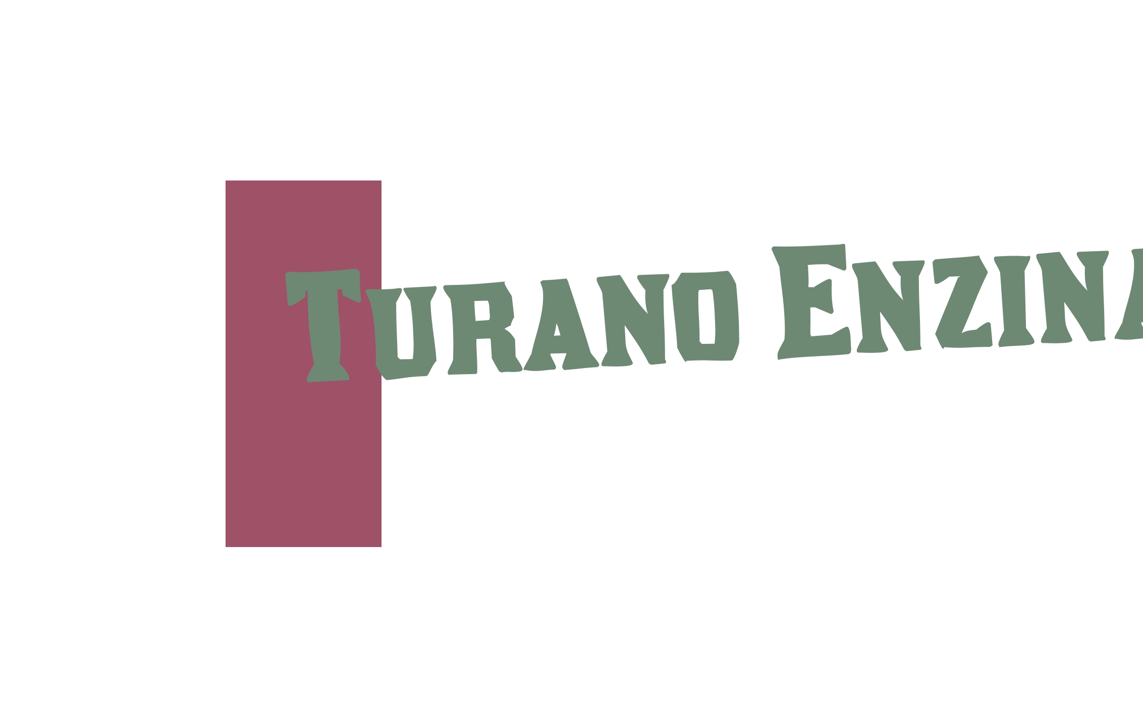 logo Turano Enzina