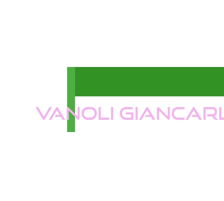 logo Vanoli Giancarlo