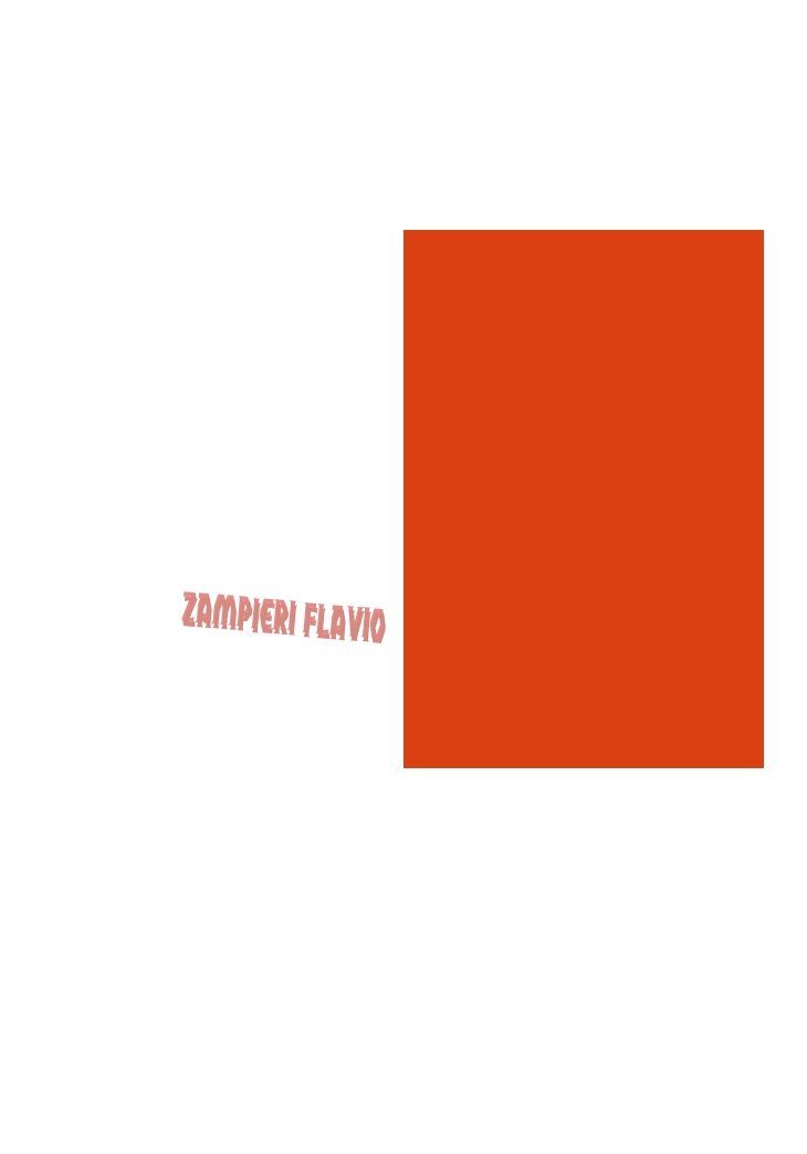 logo Zampieri Flavio