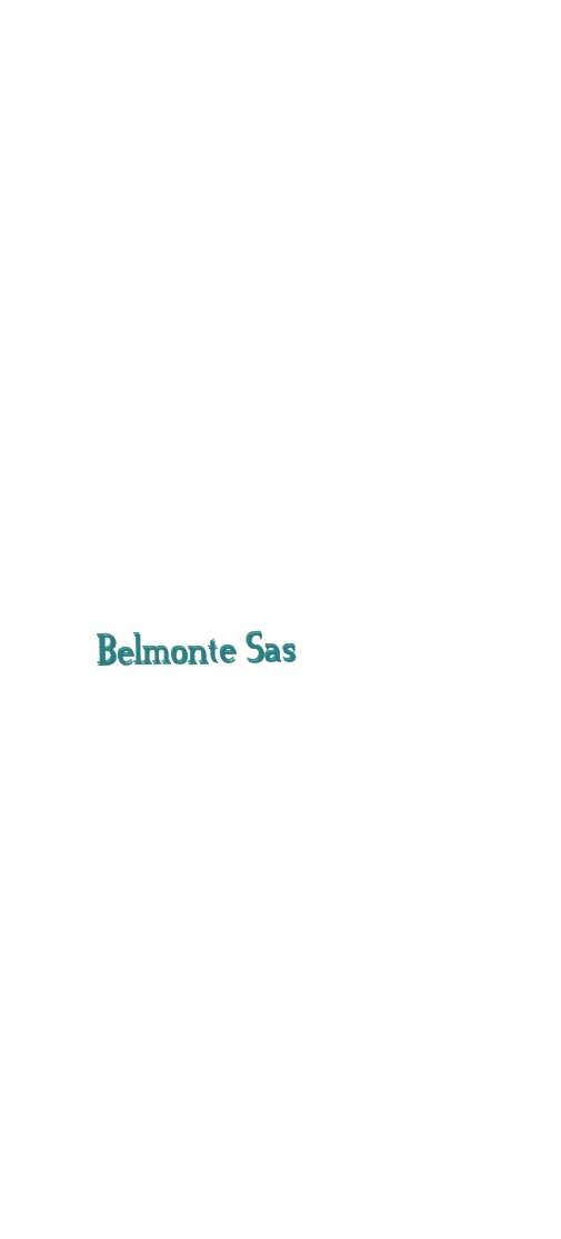 logo Belmonte Sas