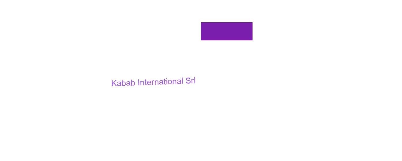 logo Kabab International Srl
