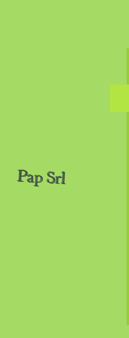 logo Pap Srl